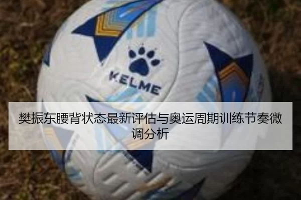 樊振东腰背状态最新评估与奥运周期训练节奏微调分析